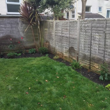 Naomi's garden