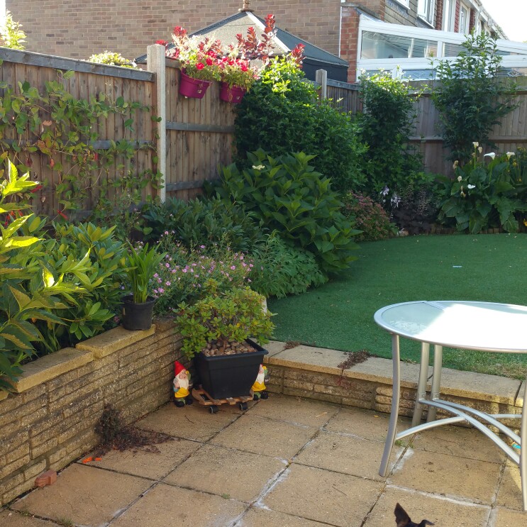 Kim's garden