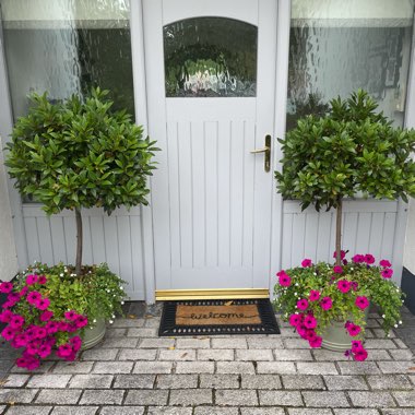 John's garden