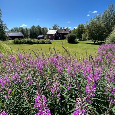 Marit's garden