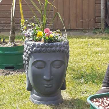 Nathan's garden