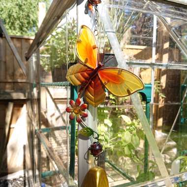 Isla's garden