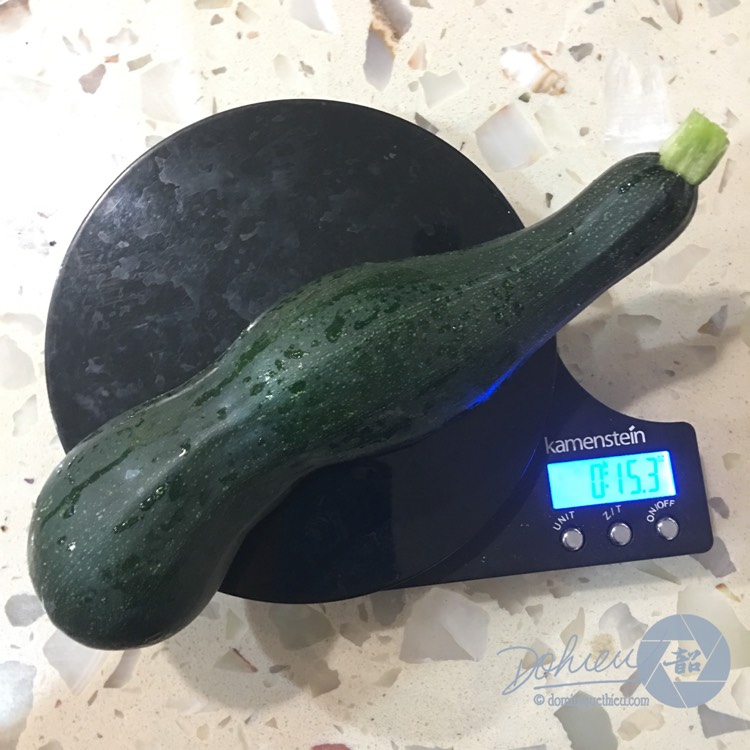 Plant image Cucurbita pepo 'Fordhook'