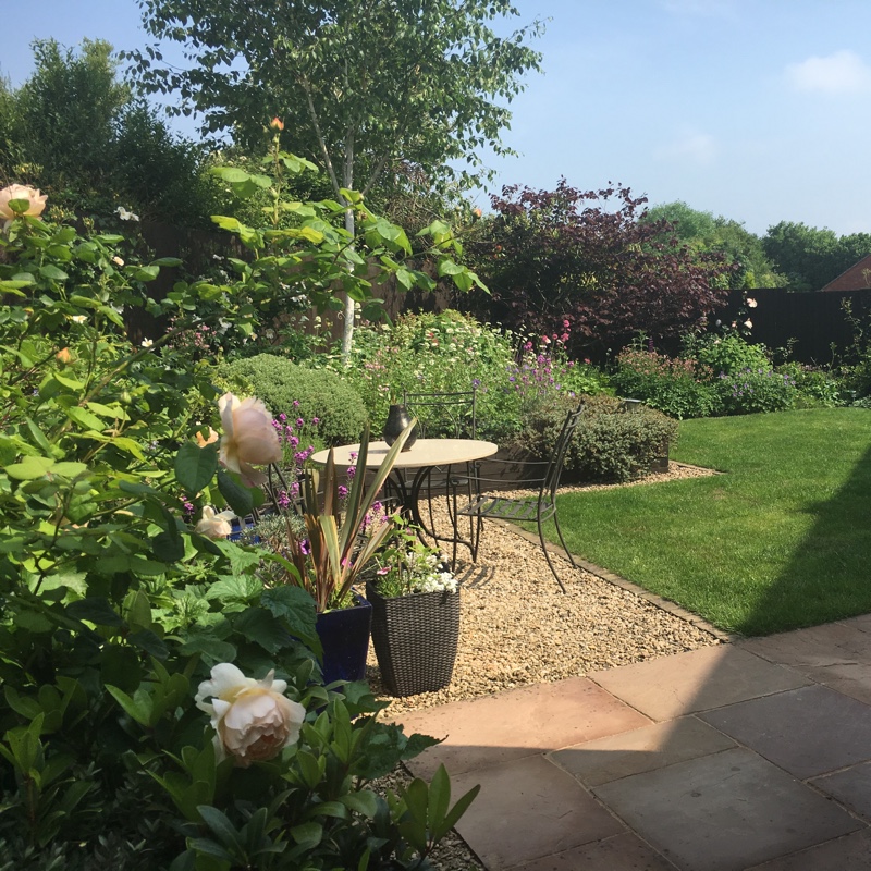 Nicola's garden