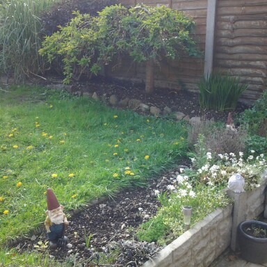 Nicole's garden