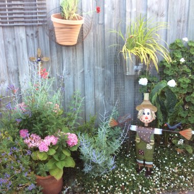 Razor's garden