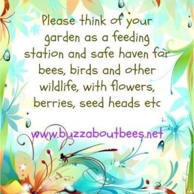 Razor's garden