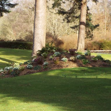 Nic's garden
