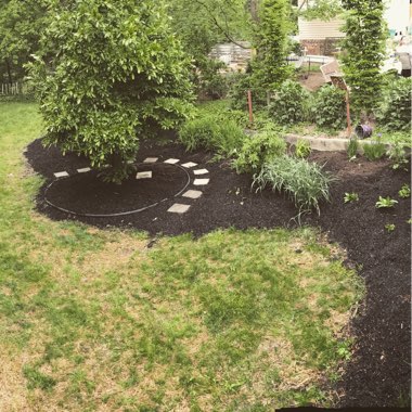 Corinne's garden