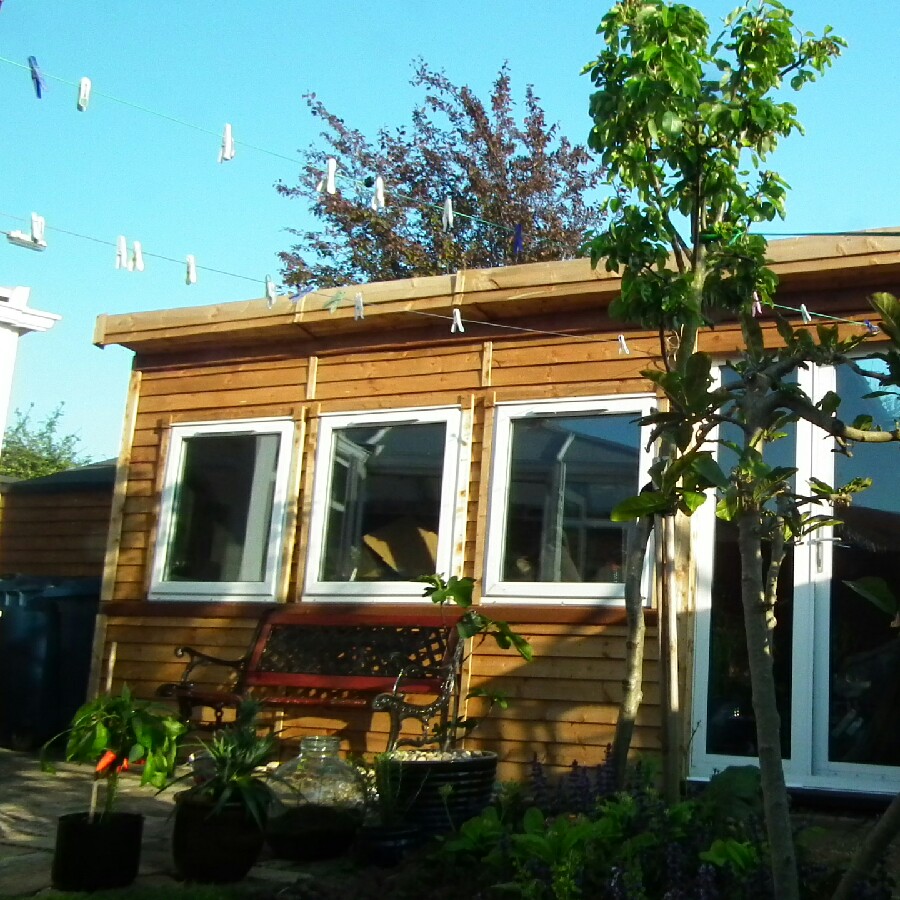 Trevor 's garden
