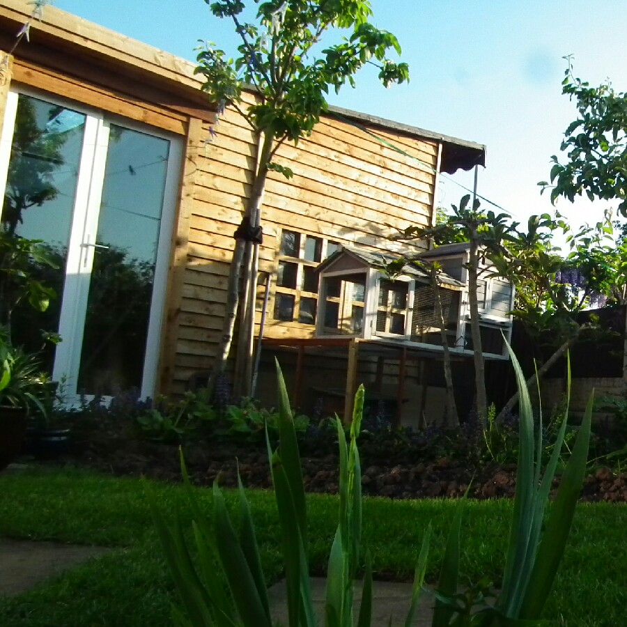 Trevor 's garden