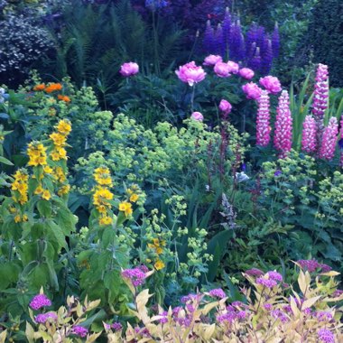 Padraig's garden