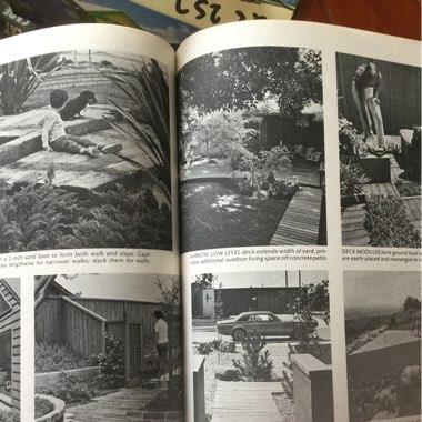 Pamela's garden