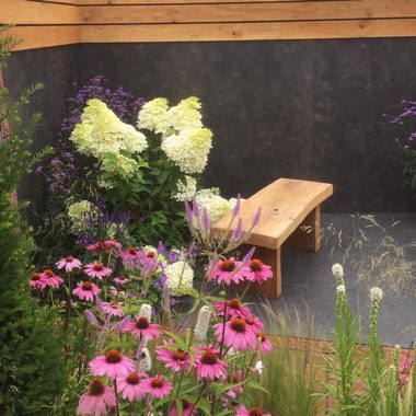 Charlotte's garden