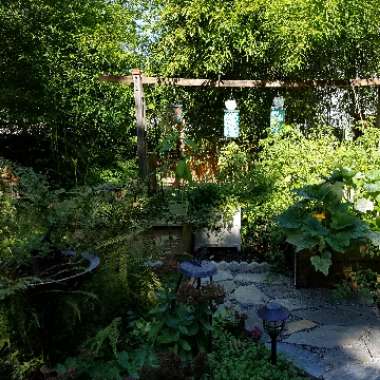 Patricia 's garden
