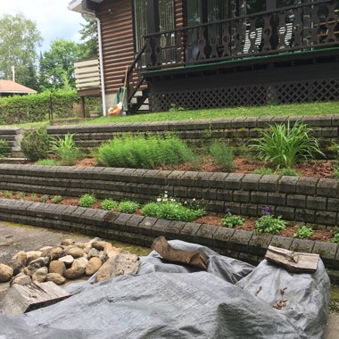 Patrick's garden
