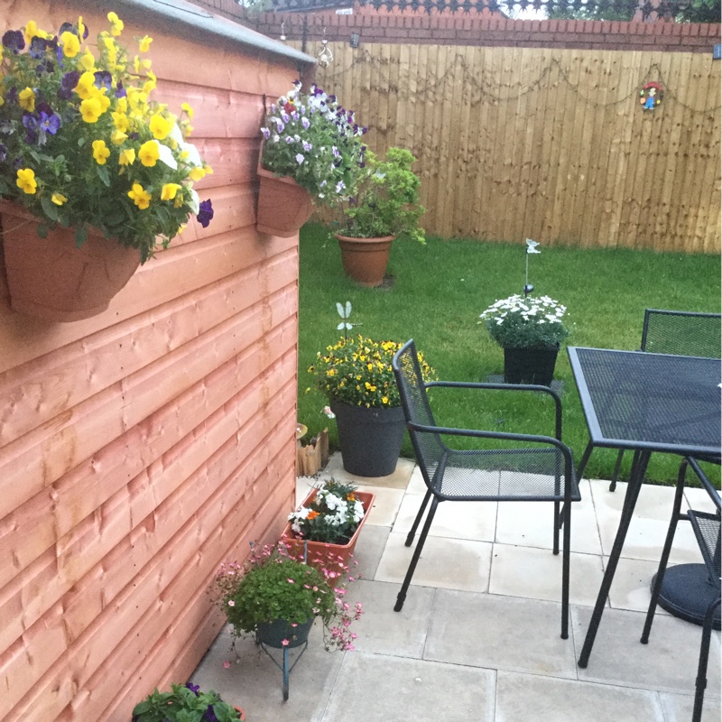Patricia's garden