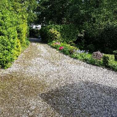 Paul's garden