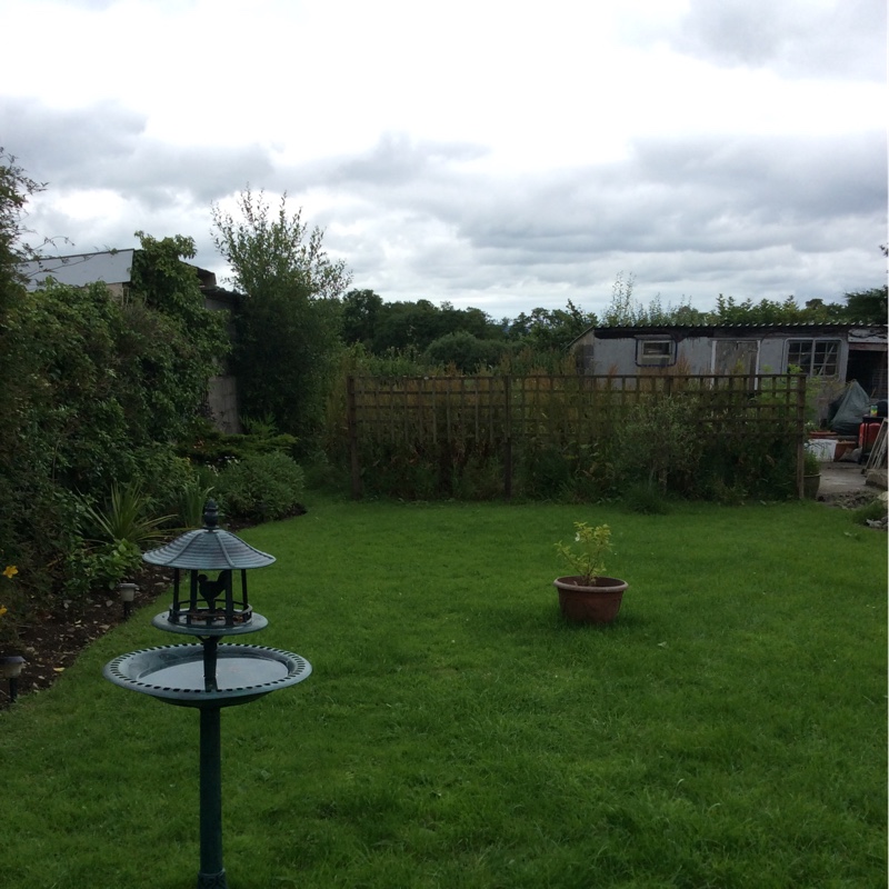 Janet's garden