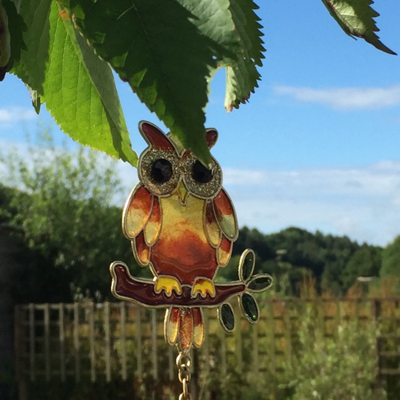 Janet's garden