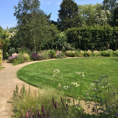 Phil's garden