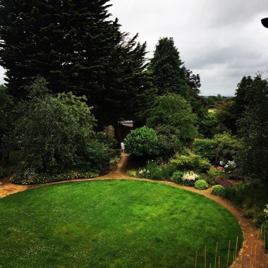 Phil's garden