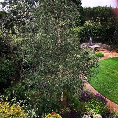 Phil's garden