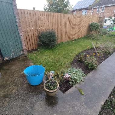 Philip's garden