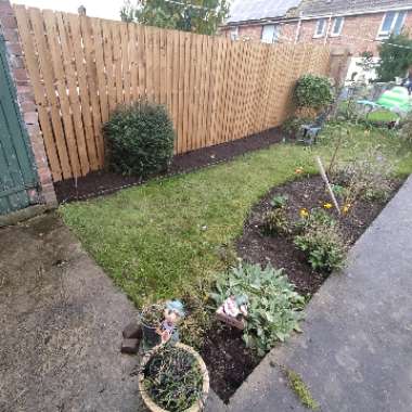 Philip's garden