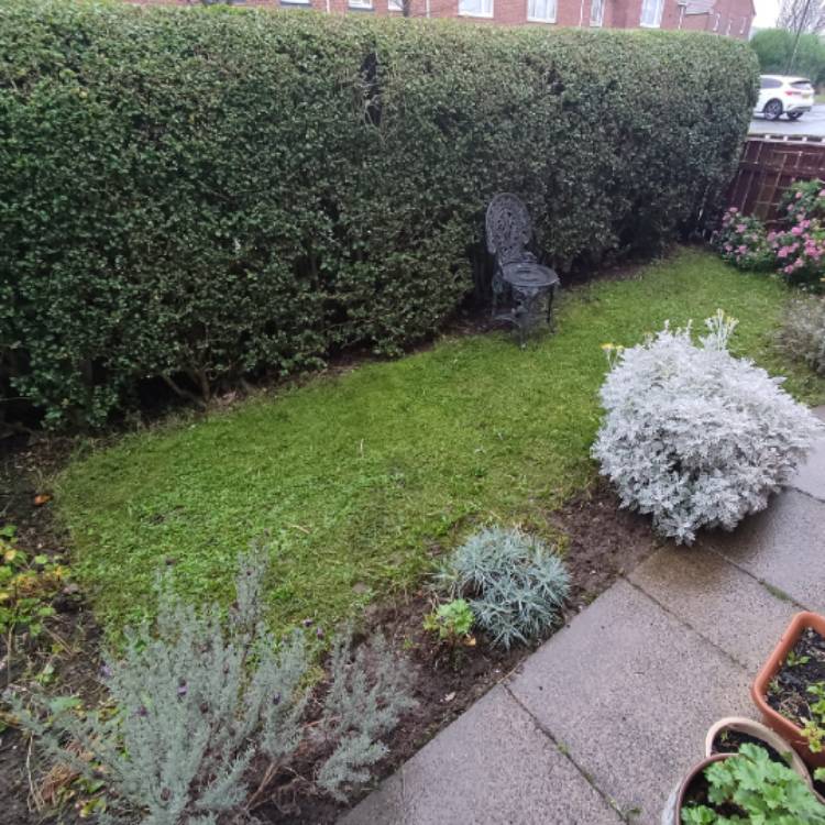 plant image 1638374