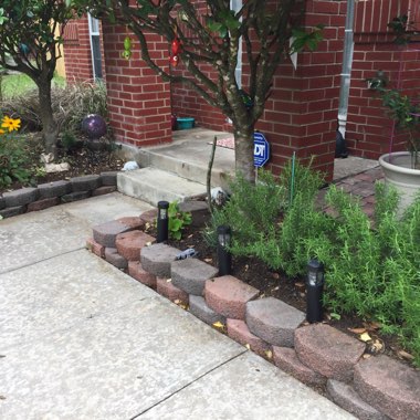 Teena's garden