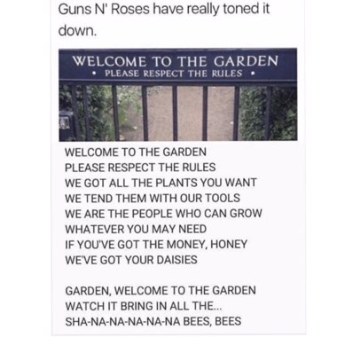 Teena's garden