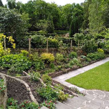 Clare 's garden