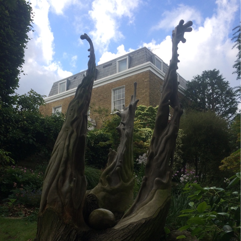Lorna's garden