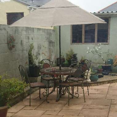 Lana 's garden