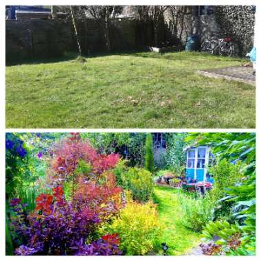 Michelle 's garden