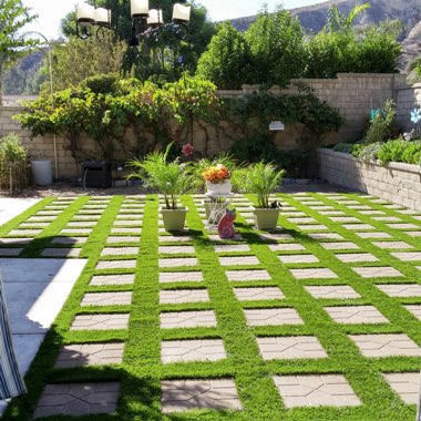 Judith's garden