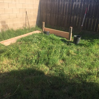 Derek's garden