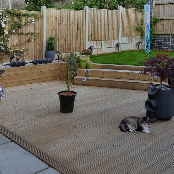 Dalma's garden