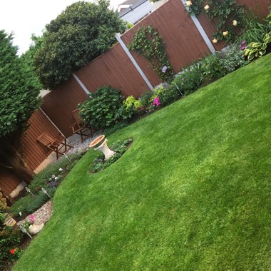 Richard's garden