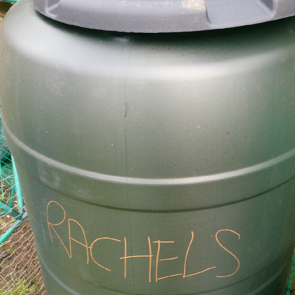 Rachel's garden