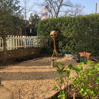 Rachel's garden