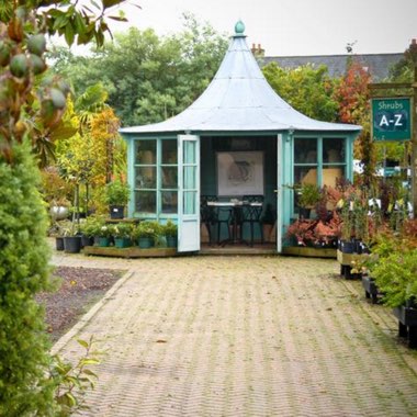 Ransoms's garden