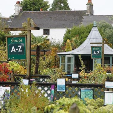 Ransoms's garden
