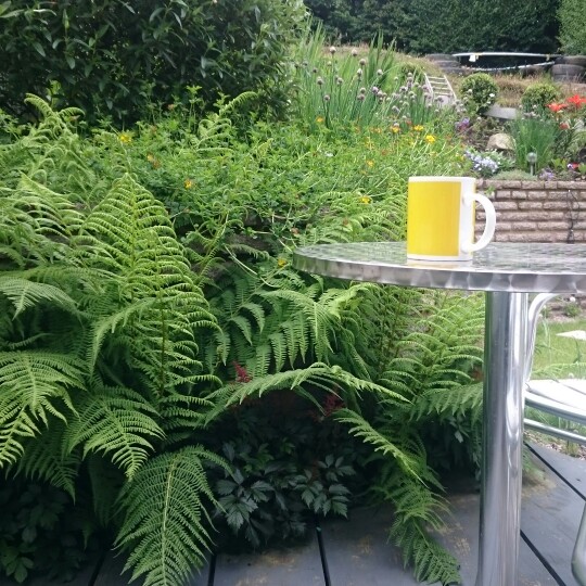 Renate's garden