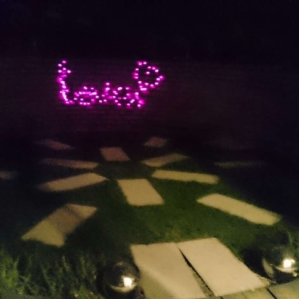 Renate's garden