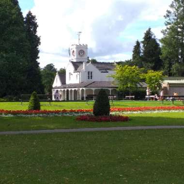 Graeme's garden