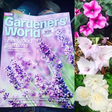 Ricki's garden