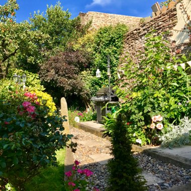 Ricki's garden