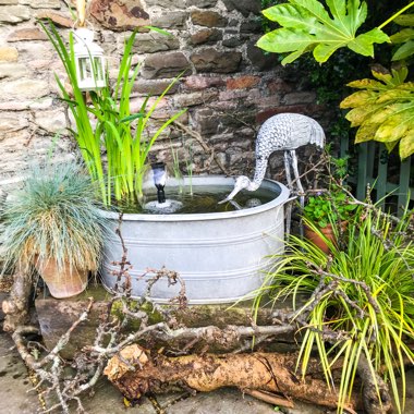 Ricki's garden